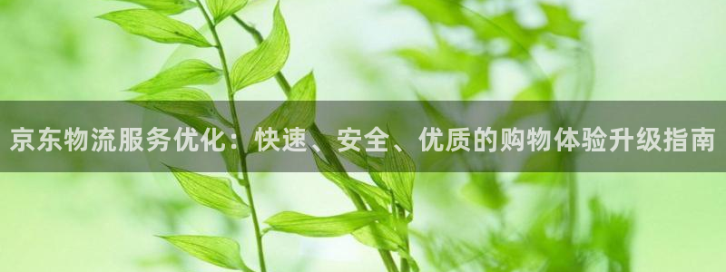 ,优游国际注册用户名是什么：京东物流