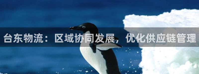 ,优游国际初始密码在哪里修改的：台东