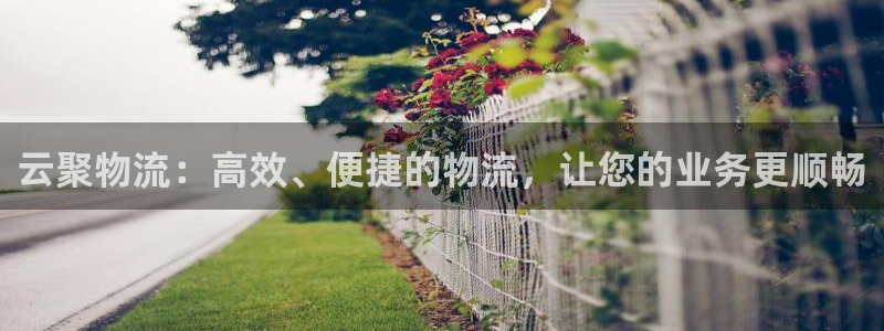 加拿大,优游国际数字规则：云聚物流：