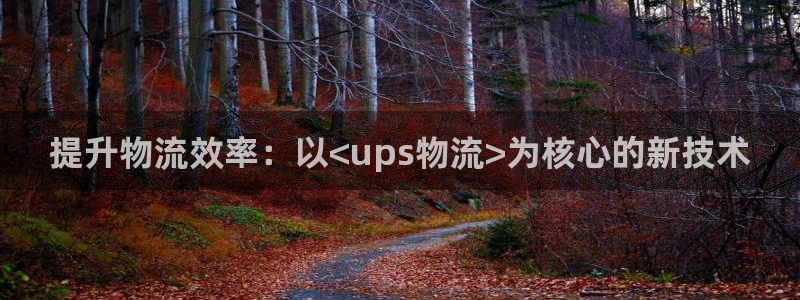 ,优游国际麻将：提升物流效率：以<u
