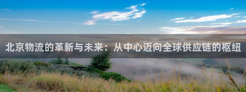 ,优游国际游戏：北京物流的革新与未来