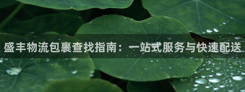 ,优游国际账号注册：盛丰物流包裹查找