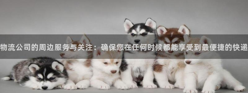 ,优游国际登录不上咋回事：物流公司的