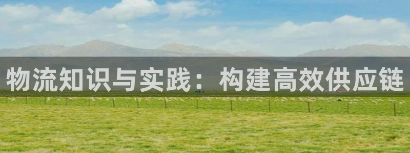 ,优游国际APP是干什么的：物流知识