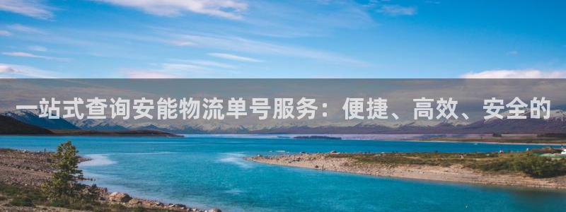 ,优游国际能提现吗：一站式查询安能物流单号服务：便捷、高效、