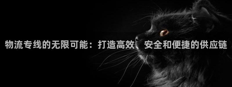 ,优游国际网赌有什么风险:物流专线的
