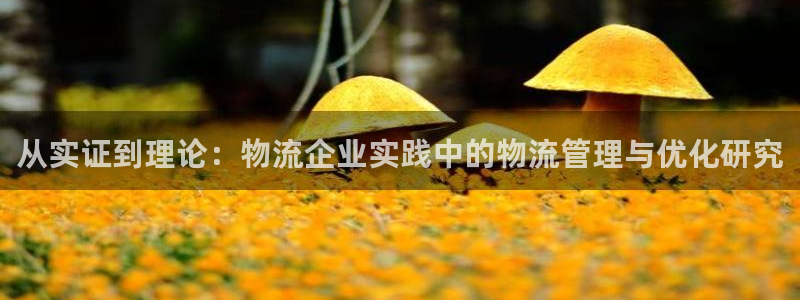 优游国际官网入口pc28：从实证到理