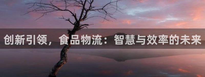 ,优游国际激活码：创新引领，食品物流