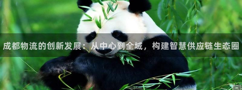 ,优游国际反水怎么算：成都物流的创新