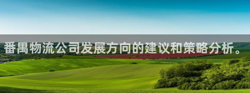 ,优游国际加拿大：番禺物流公司发展方