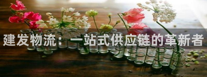 ,优游国际免费：建发物流：一站式供应链的革新者
