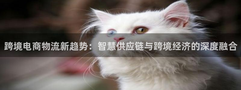 优游国际官网入口pc是诈骗吗?