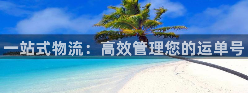 ,优游国际免费充钱:一站式物流:高效