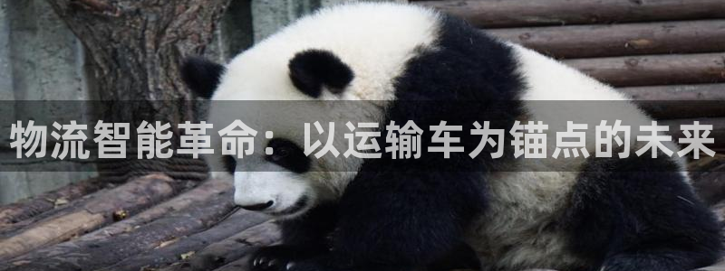 ,优游国际注册链接：物流智能革命：以