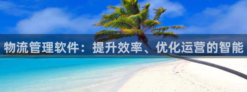 ,优游国际百度百科:物流管理软件:提