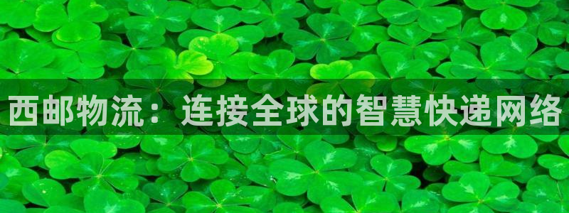 ,优游国际平台注册：西邮物流：连接全