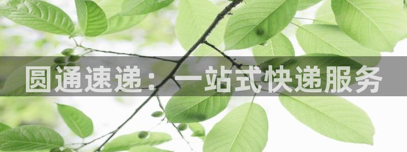 ,优游国际流水怎么算：圆通速递：一站式快递服务