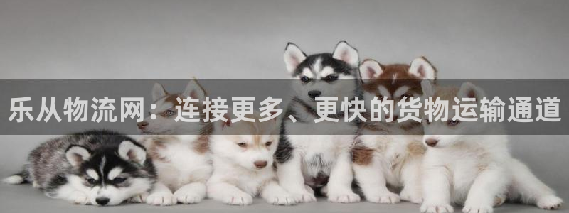 ,优游国际麻将胡了在线试玩：乐从物流网：连接更多、更快的货物