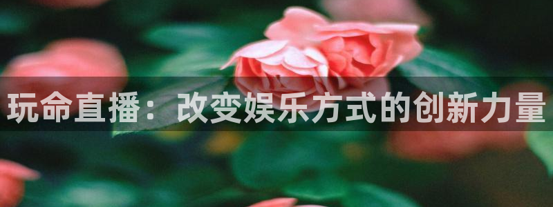 9255tv直播无插件nba：玩命直播：改变娱乐方式的创新力量