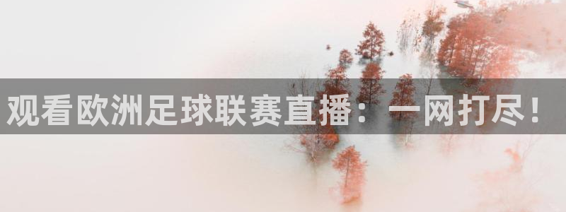 9255tv直播nba在线直播：观看欧洲足球联赛直播：一网打尽！