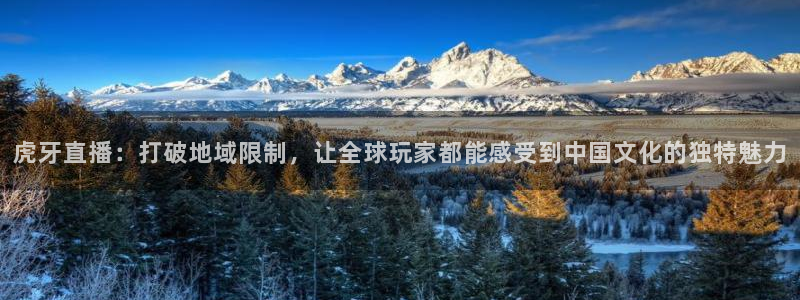 9255tv直播nba在线观看：虎牙直播：打破地域限制，让全球玩家都能感受到中国文化的独特魅力