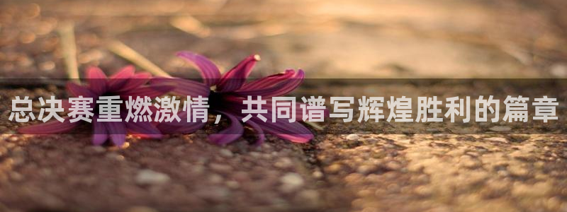 9255tv直播nba在线直播：总决赛重燃激情，共同谱写辉煌胜利的篇章