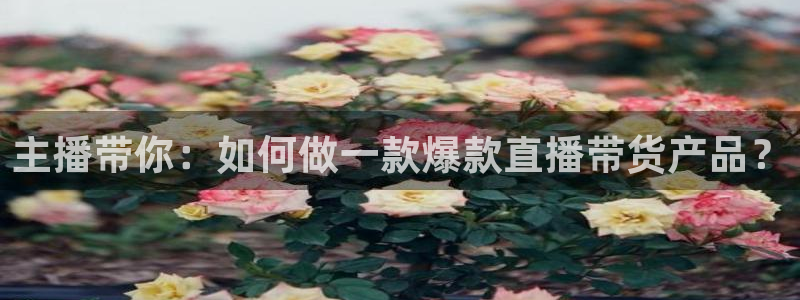 9255tv直播nba在线直播：主播带你：如何做一款爆款直播带货产品？