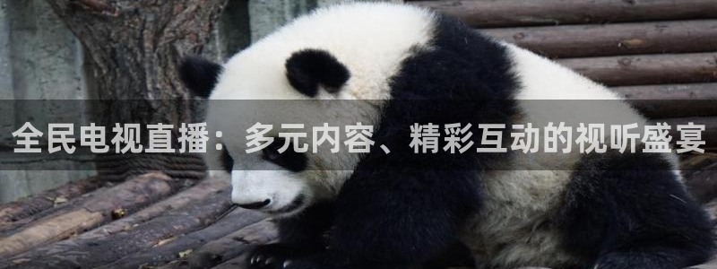 9255tv直播无插件nba：全民电视直播：多元内容、精彩互动的视听盛宴