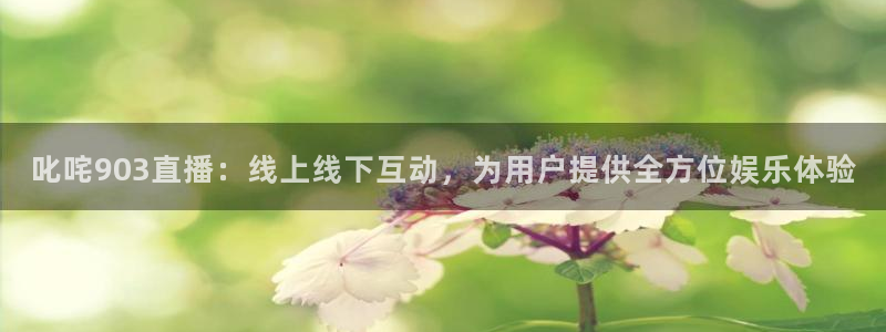 9255tv直播nba在线直播：叱咤903直播：线上线下互动，为用户提供全方位娱乐体验