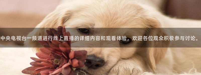 9255tv直播nba在线观看：中央电视台一频道进行线上直播的详细内容和观看体验，欢迎各位观众积极参与讨论。