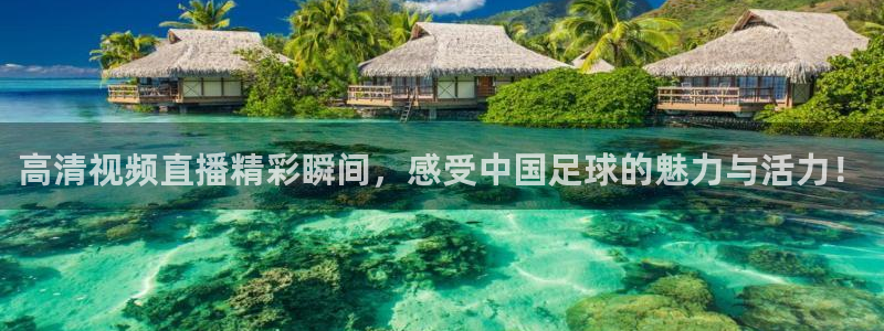 9255tv直播nba在线直播：高清视频直播精彩瞬间，感受中国足球的魅力与活力！