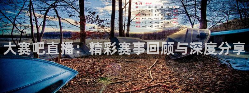 9255tv直播nba在线观看：大赛吧直播：精彩赛事回顾与深度分享