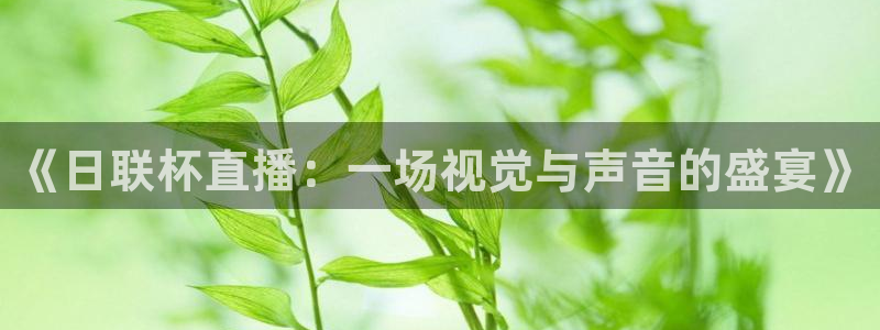 9255tv直播nba在线直播：《日联杯直播：一场视觉与声音的盛宴》