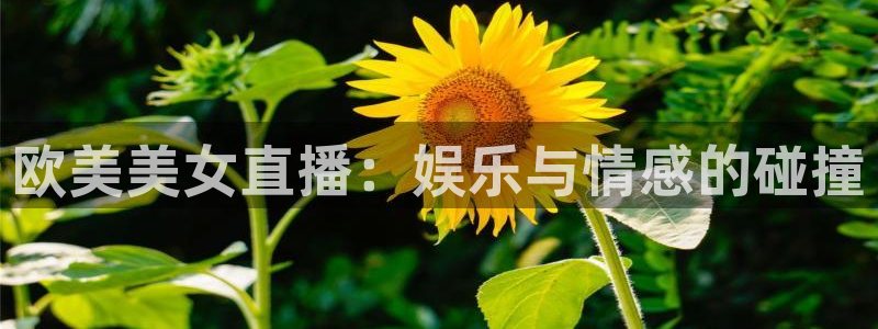 9255tv直播nba在线直播：欧美美女直播：娱乐与情感的碰撞