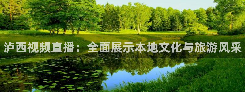 9255tv直播无插件nba：泸西视频直播：全面展示本地文化与旅游风采