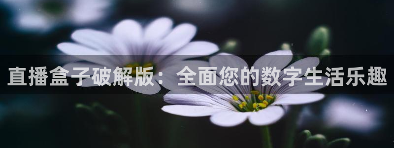 9255tv直播nba在线直播：直播盒子破解版：全面您的数字生活乐趣
